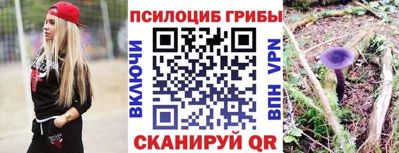 цены наркотик  Кунгур  Галлюциногенные грибы Psilocybine cubensis 
