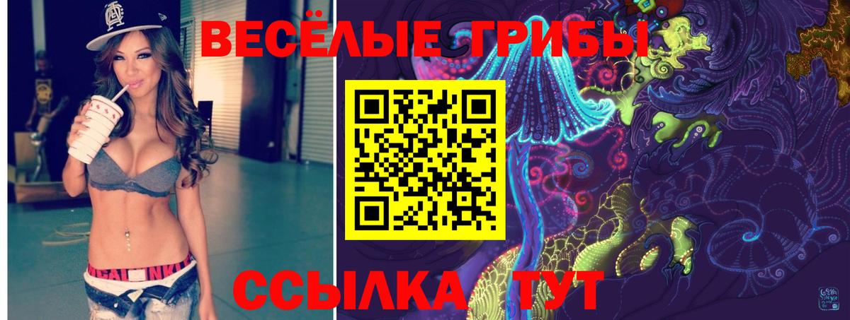 Псилоцибиновые грибы Psilocybe  продажа наркотиков  Галлюциногенные грибы Magic Shrooms  Кунгур  Вход с VPN 