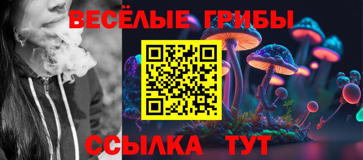 Галлюциногенные грибы ЛСД Кунгур